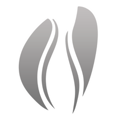 Slider image (5) Gynecologist Ruben Rodriguez